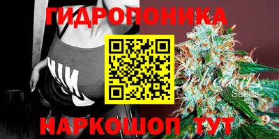 стаф Малгобек